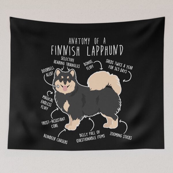 Item preview, Finnish Lapphund Dog Anatomy designed and sold by Clara Hollins.