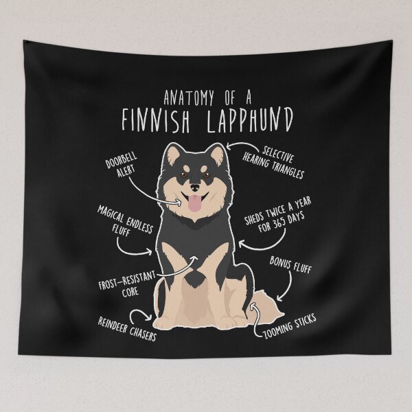Item preview, Finnish Lapphund Dog Anatomy designed and sold by Clara Hollins.
