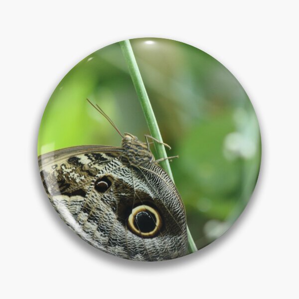 Item preview, The Great Eye designed and sold by Olivia Plasencia.
