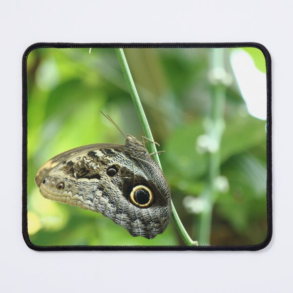 Item preview, The Great Eye designed and sold by Olivia Plasencia.