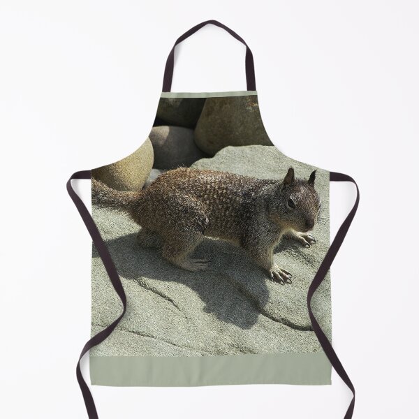 Item preview, Rock Sentinel: Squirrel in Coastal Terrain designed and sold by Armadillo222.