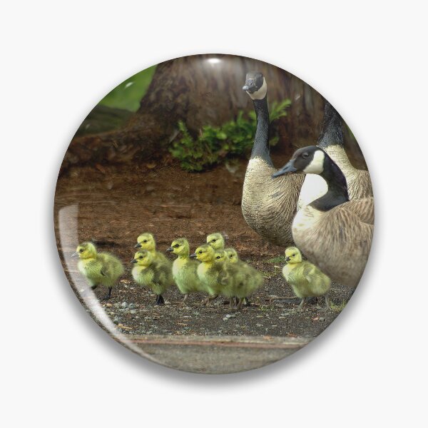 Item preview, Woodland March: Canada Geese and Goslings designed and sold by Armadillo222.