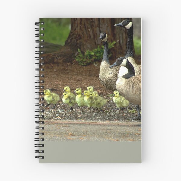 Item preview, Woodland March: Canada Geese and Goslings designed and sold by Armadillo222.