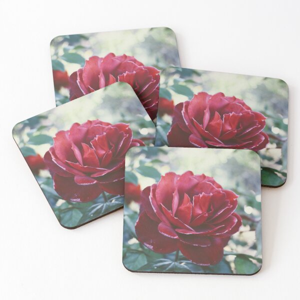 Item preview, Rose Photograph designed and sold by nj-photos-mt.