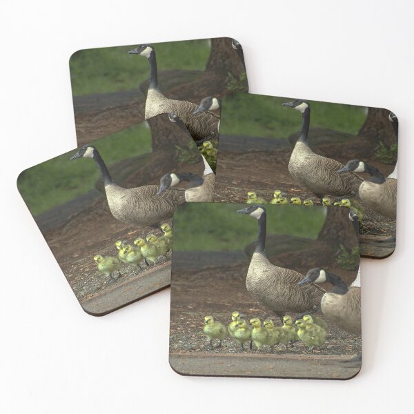Item preview, Springtime Stroll: Canada Geese and Goslings designed and sold by Armadillo222.