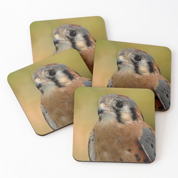 Item preview, Focused Gaze of the American Kestrel designed and sold by Armadillo222.