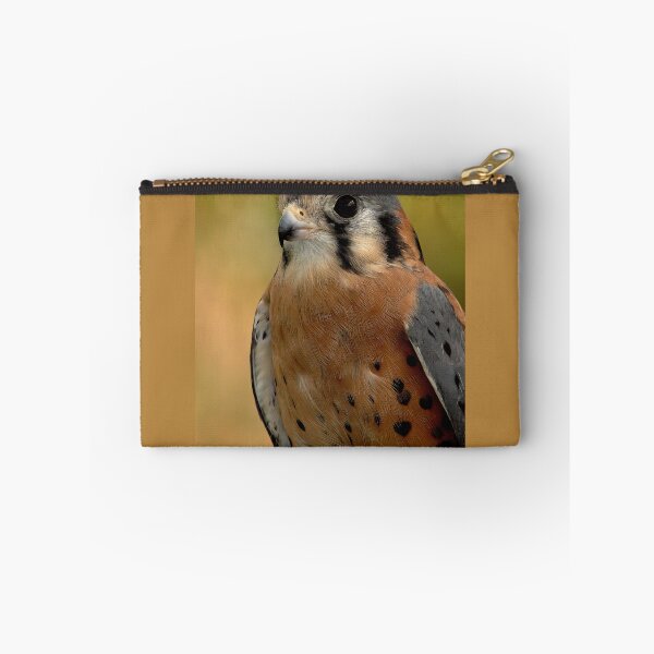 Item preview, Focused Gaze of the American Kestrel designed and sold by Armadillo222.