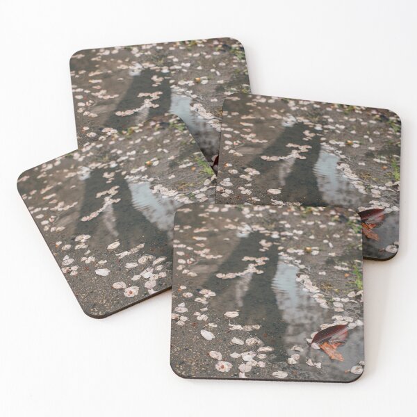 Item preview, Blossom Puddle Tokyo Japan Photograph 東京 designed and sold by nj-photos-mt.