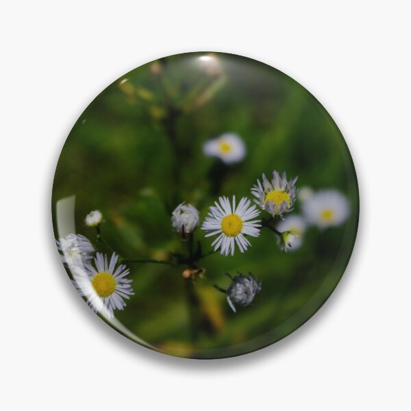 Item preview, Daisies designed and sold by byamyclark.