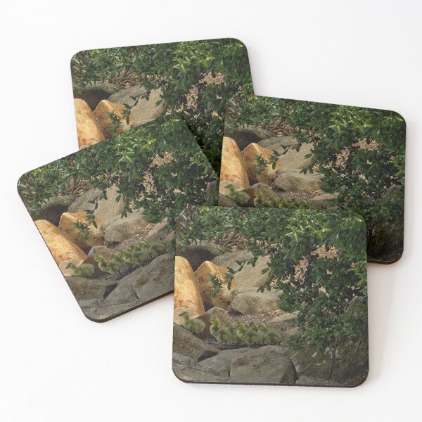 Item preview, Springtime Stroll: Canada Geese and Goslings Among Shoreline Rocks designed and sold by Armadillo222.