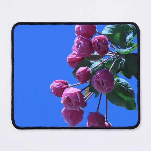 Item preview, Simple Pink Rose Buds designed and sold by byamyclark.
