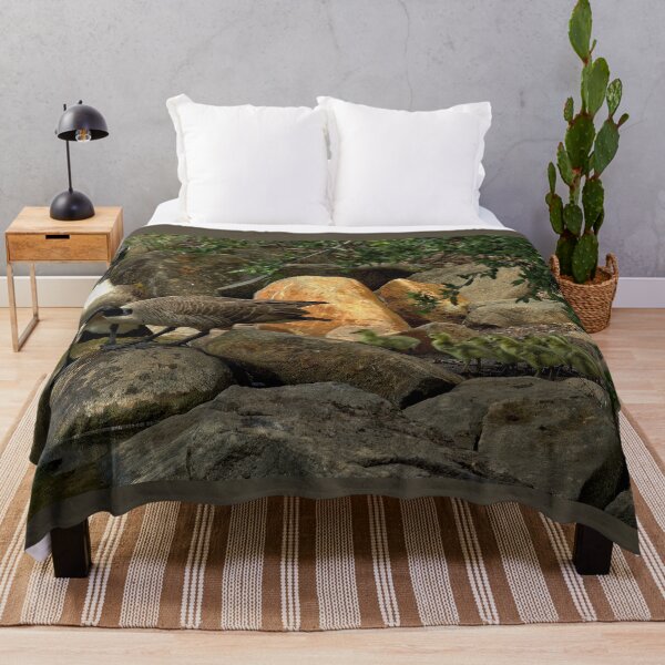 Item preview, Springtime Stroll: Canada Geese and Goslings Among Shoreline Rocks designed and sold by Armadillo222.