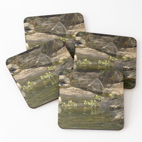 Item preview, Canada Geese and Goslings Among Shoreline Rocks designed and sold by Armadillo222.