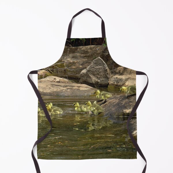 Item preview, Canada Geese and Goslings Among Shoreline Rocks designed and sold by Armadillo222.