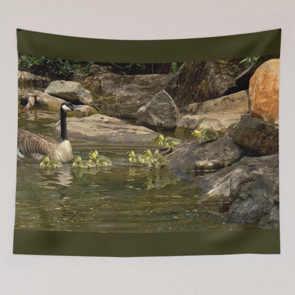 Item preview, Canada Geese and Goslings Among Shoreline Rocks designed and sold by Armadillo222.
