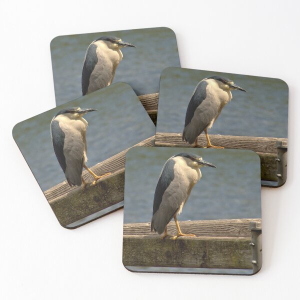 Item preview, Black-Crowned Night Heron on Dockside Watch designed and sold by Armadillo222.