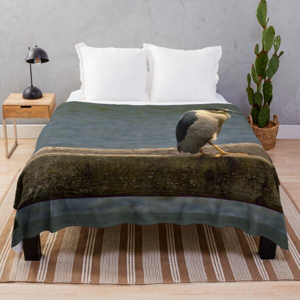 Item preview, Black-Crowned Night Heron on Dockside Watch designed and sold by Armadillo222.