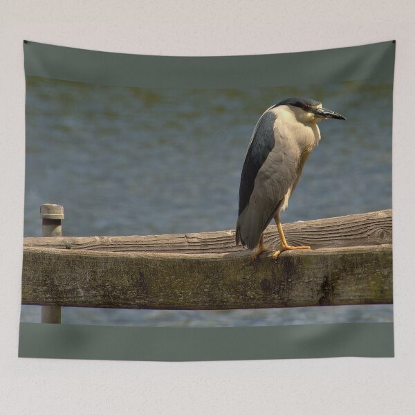 Item preview, Black-Crowned Night Heron on Dockside Watch designed and sold by Armadillo222.