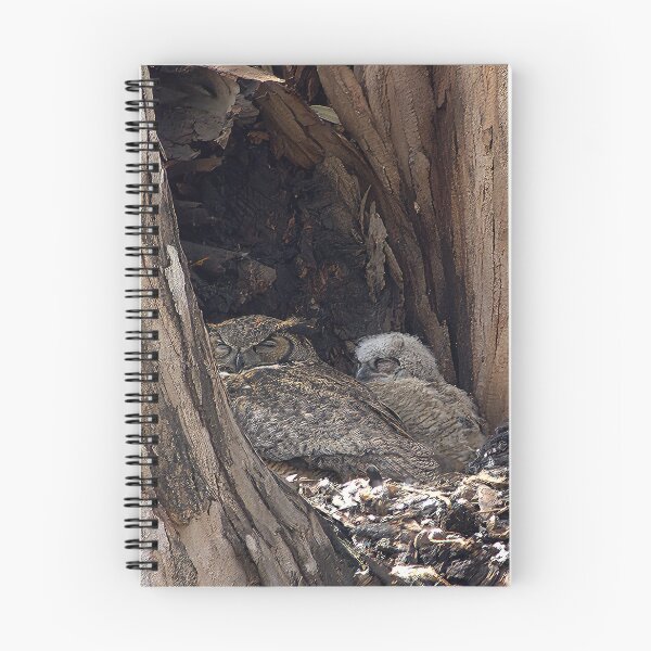 Item preview, Hidden Refuge: Woodland Nest Within a Hollow Trunk designed and sold by Armadillo222.