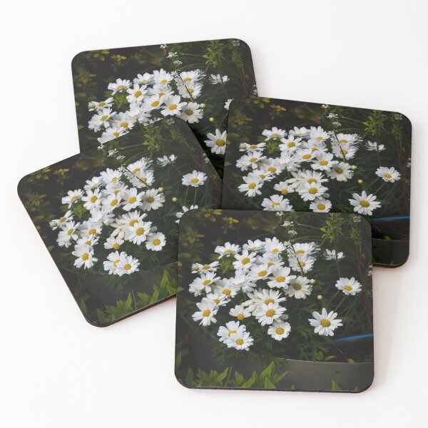 Item preview, Daisy Flowers Tokyo Japan 東京日本 designed and sold by nj-photos-mt.