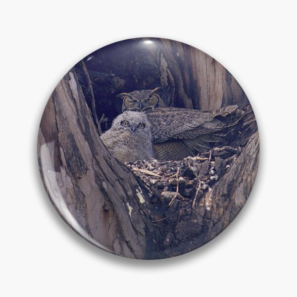 Item preview, Nature’s Camouflage in a Tree Hollow designed and sold by Armadillo222.
