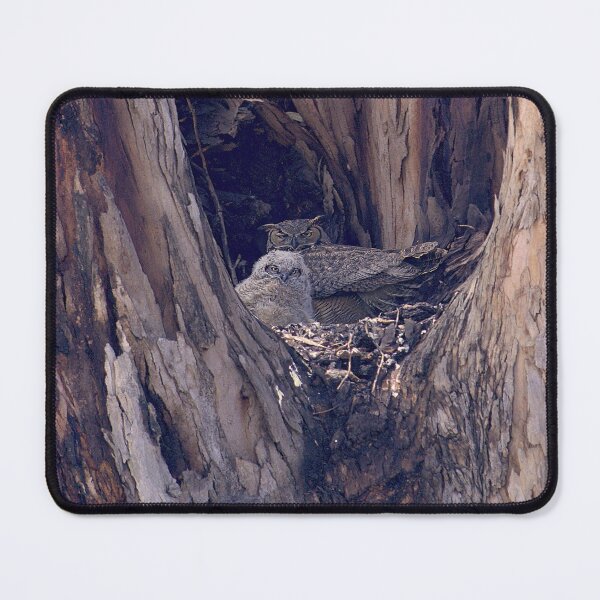 Item preview, Nature’s Camouflage in a Tree Hollow designed and sold by Armadillo222.