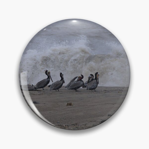Item preview, Pelican Gathering at the Surf’s Edge designed and sold by Armadillo222.