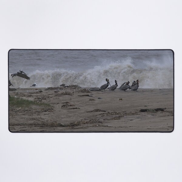 Item preview, Pelican Gathering at the Surf’s Edge designed and sold by Armadillo222.