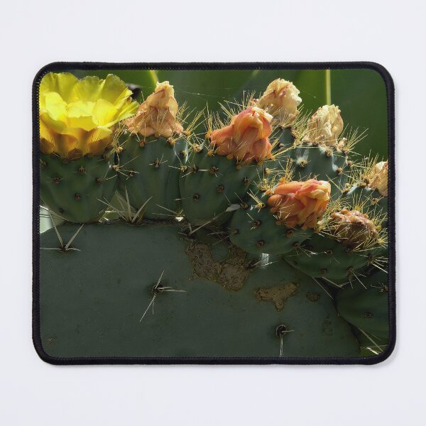 Item preview, Golden Bloom on Prickly Pear Canvas designed and sold by Armadillo222.