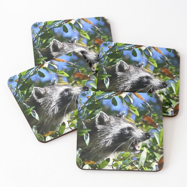 Item preview, Grumpy Raccoon  designed and sold by Glennphotos.