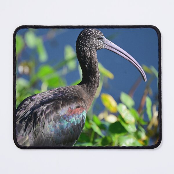 Item preview, Shimmer  designed and sold by Glennphotos.