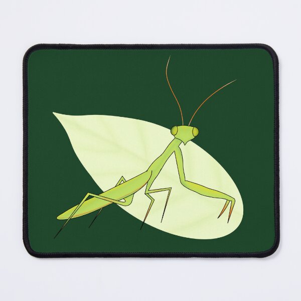 Item preview, Praying Mantis – Minimalist Nature Insect Illustration designed and sold by Aku-passion.