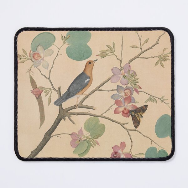 Item preview, Orange-Headed Ground Thrush and a Death's-Head Moth on a Purple Ebony Orchid Branch designed and sold by AnimaliaStar.