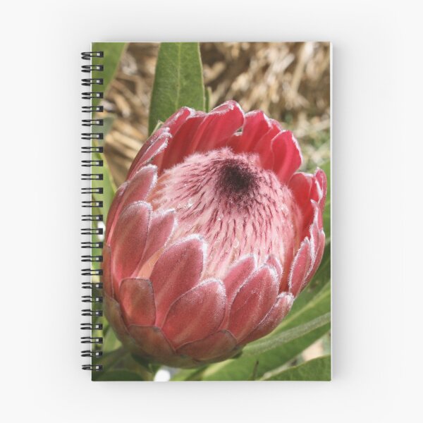 Item preview, Protea designed and sold by LeanneAllen.