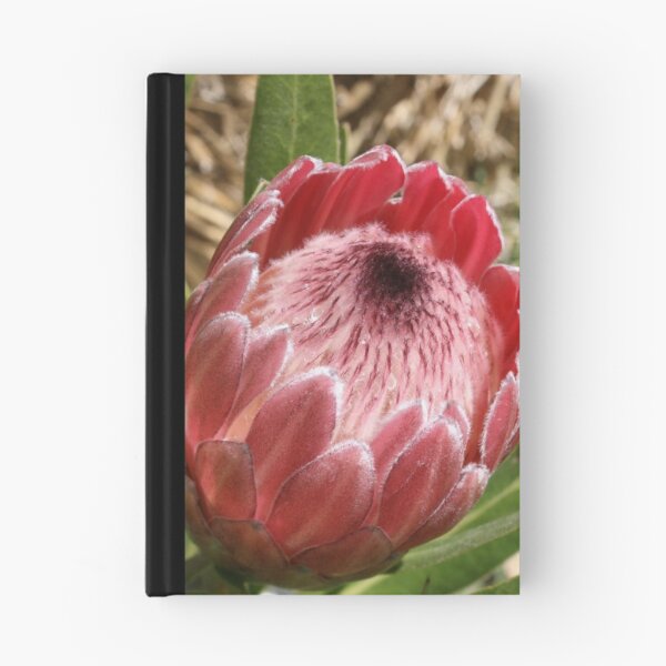 Item preview, Protea designed and sold by LeanneAllen.