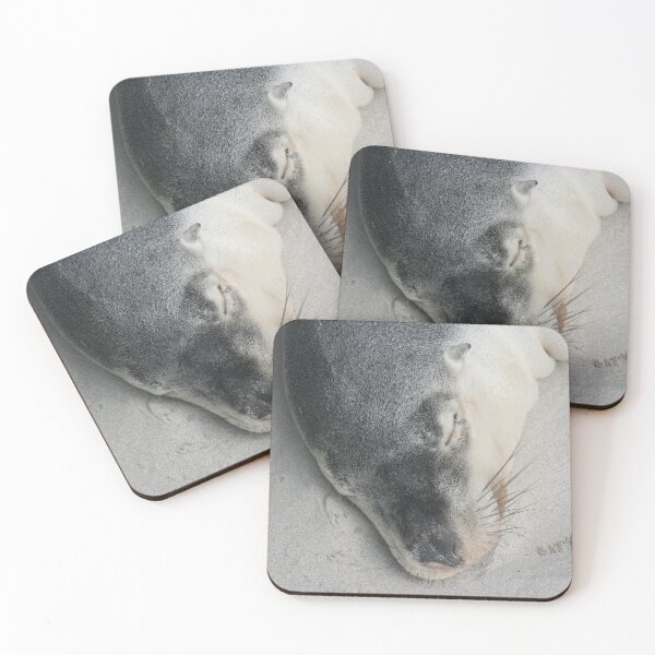 Item preview, Sleeping Australian fur seal close up designed and sold by CPhotographs.
