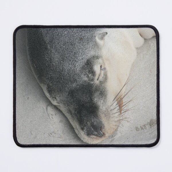 Item preview, Sleeping Australian fur seal close up designed and sold by CPhotographs.