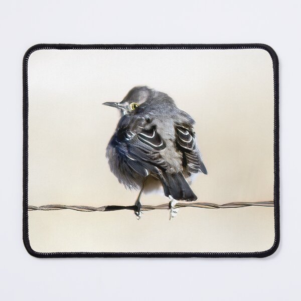 Item preview, Northern Mockingbird on a Wire designed and sold by CarolM.