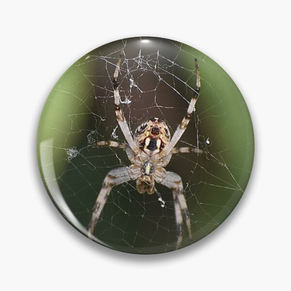 Item preview, Spider designed and sold by asv27art.