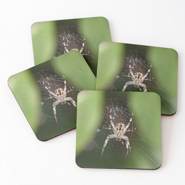 Item preview, Spider designed and sold by asv27art.