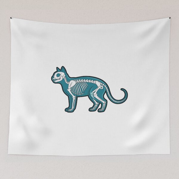 Item preview, Cat Skeleton Anatomy Illustration designed and sold by Horrify.