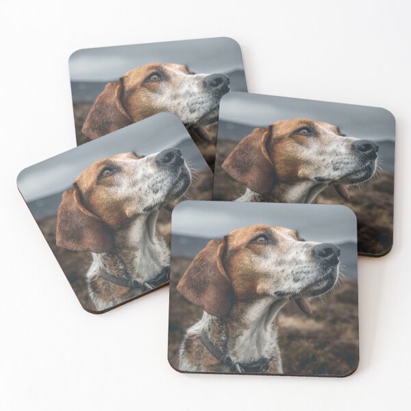 Item preview, Harrier Hound Portrait designed and sold by Elisabeth Lucas.
