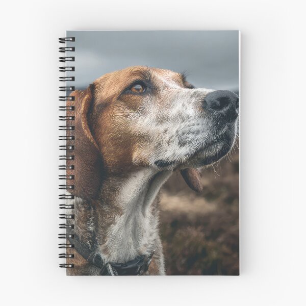 Item preview, Harrier Hound Portrait designed and sold by Elisabeth Lucas.