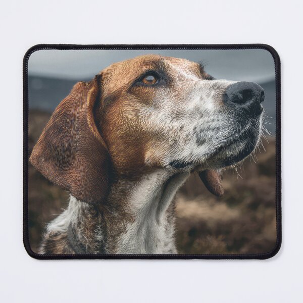 Item preview, Harrier Hound Portrait designed and sold by Elisabeth Lucas.