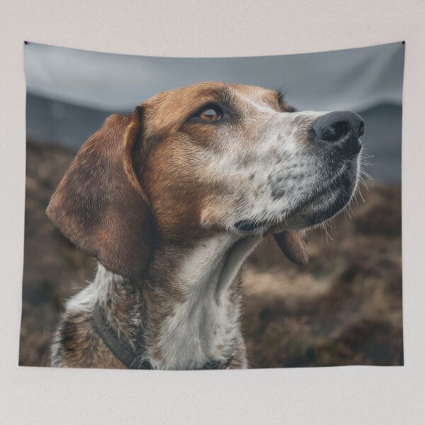 Item preview, Harrier Hound Portrait designed and sold by Elisabeth Lucas.