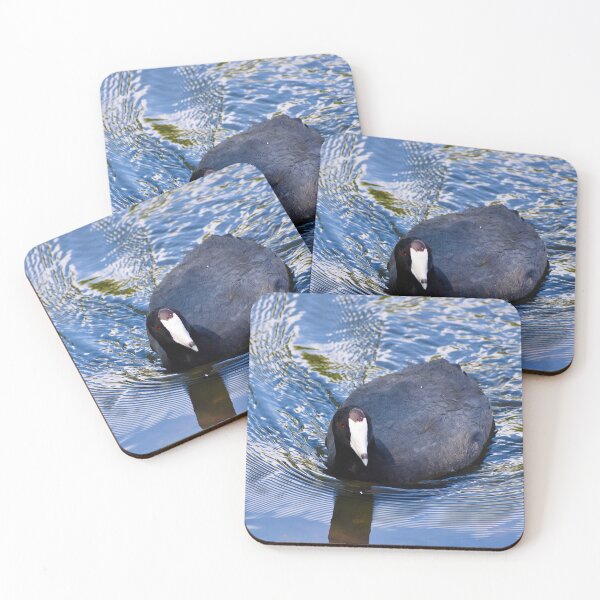 Item preview, American Coot designed and sold by asv27art.