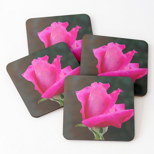 Item preview, Fresh Pink Rosebud Close Up designed and sold by CPhotographs.
