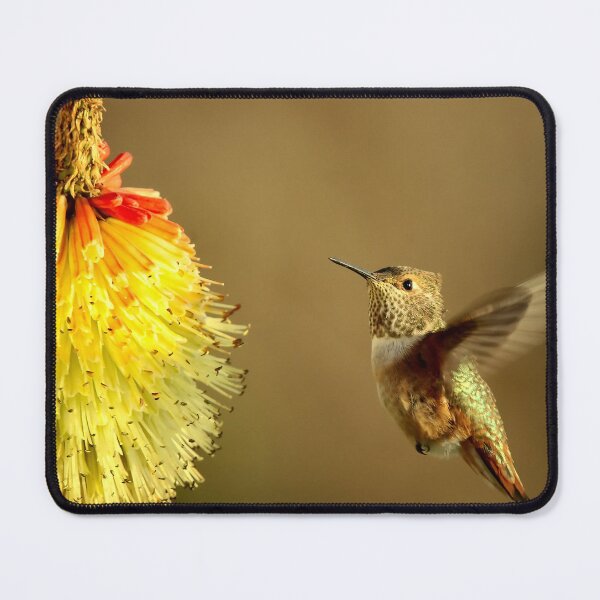 Item preview, Flight of the Hummer designed and sold by DawsonImages.