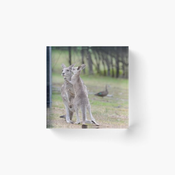 Item preview, Cute Kangaroo mother and Joey designed and sold by J7Simpson.