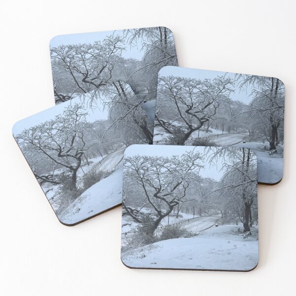 Item preview, New York City snow day (Central Park) Pt1 designed and sold by NYConlineStore.